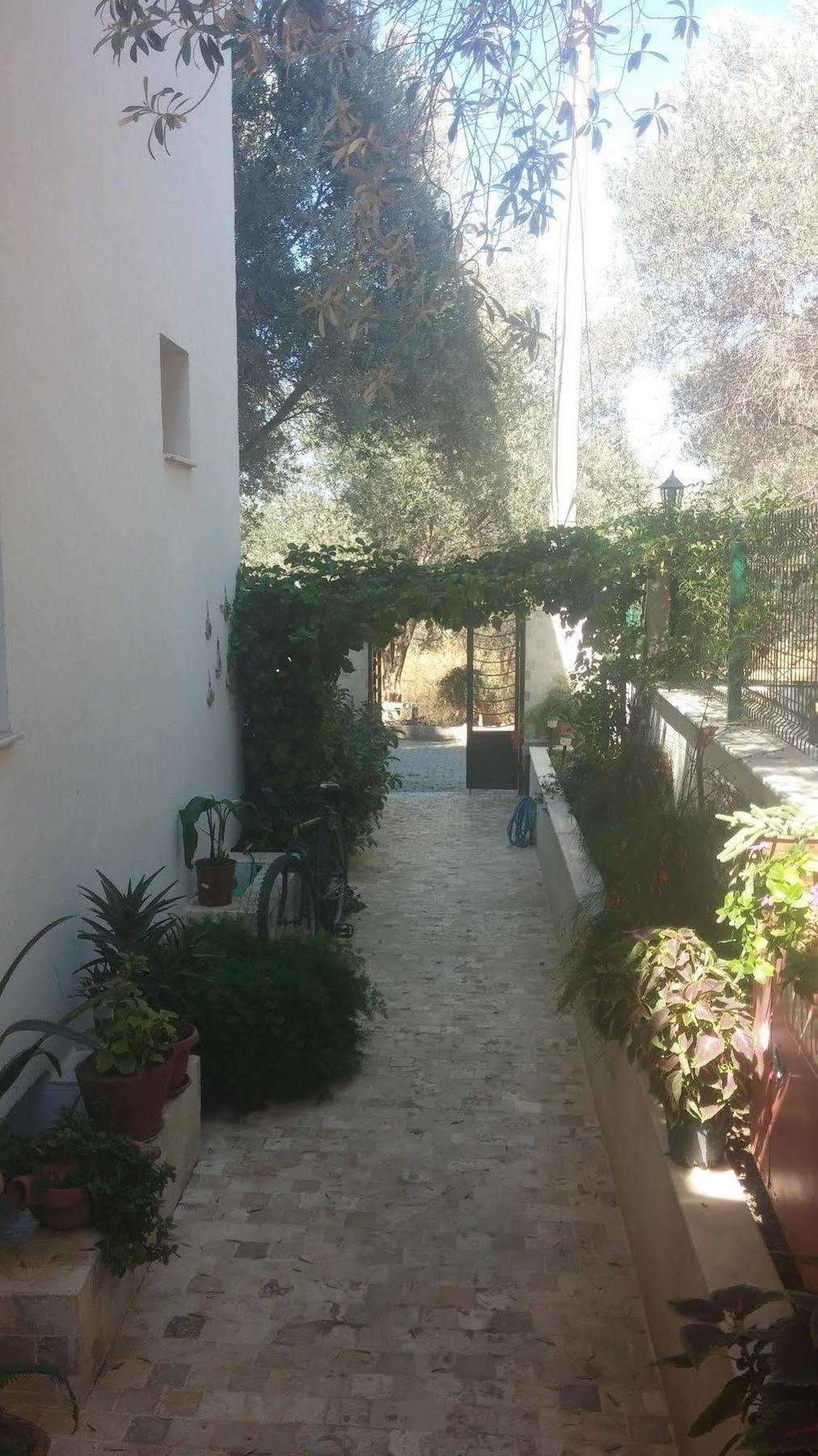 Kaptan Motel Siğacık Bagian luar foto